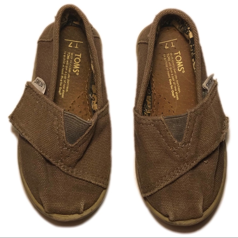 Grey Toms